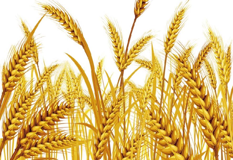 面條行業的市場現狀與發展趨勢